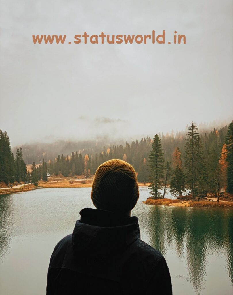 hindi alone status